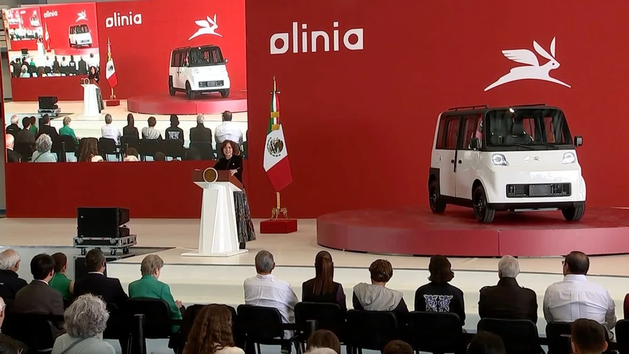 Olinia 3