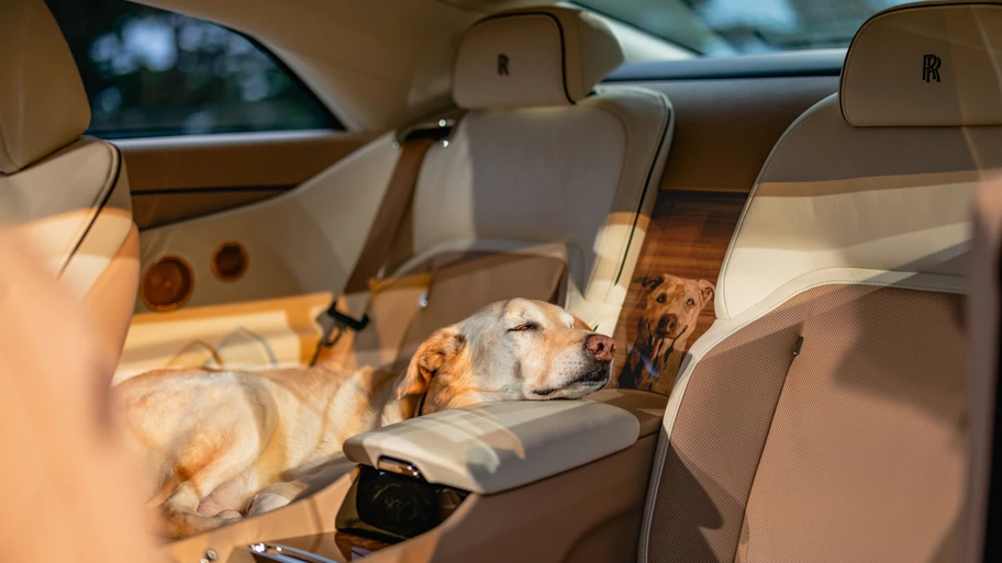 Rolls-Royce Spectre Bailey