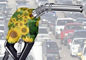 Lo que tenés que saber sobre los biocombustibles