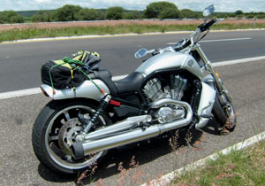 Harley Davidson V-Rod Muscle 2010 a prueba