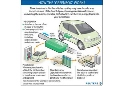 Greenbox transforma contaminación en biocombustible