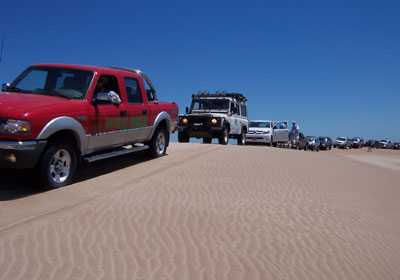 Fate presente en Pinamar 2008