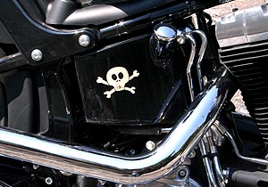 Harley Davidson Cross Bones 2010 a prueba