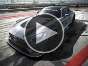 Video: Mercedes AMG GT3 Edition 50, un festejo a lo grande