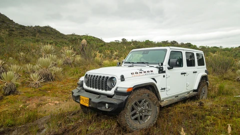 Jeep Wrangler Unlimited Condor Merrell Edition: así es la edición especial inspirada en Colombia
