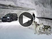 Land Rover Discovery Sport se enfrenta a un trineo tirado por perros 