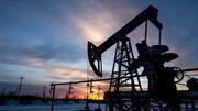 Aunque la nafta sigue cara, el precio del petroleo baja