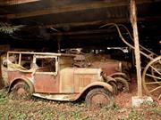 Video: Un tesoro de 15 millones de Euros en autos clásicos abandonados