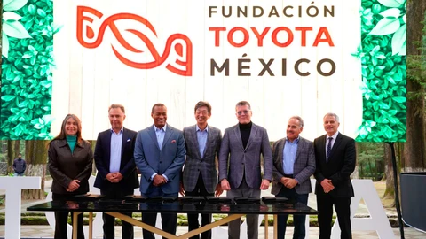 Toyota cuida a los felinos de México