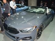 BMW Serie 8 Convertible: excelso deportivo