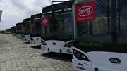 Guayaquil le da una lección a Bogotá: recibe una flota de buses eléctricos BYD
