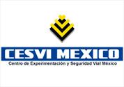México invierte sólo 60 centavos por persona al año en seguridad vial 