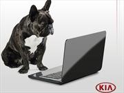 KIA Pet, una guía virtual para hacer felices a las mascotas