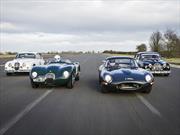 Todos los detalles del Jaguar Heritage Challenge Race Series
