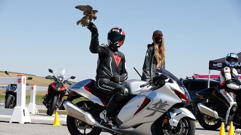 Suzuki Hayabusa se enfrenta contra el halcón peregrino, el ave en el que se inspira esta súper moto