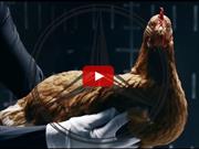 Mercedes Benz explica su tecnología con una gallina