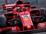 F1: La Máxima despidió el año y ya se pepara para 2019