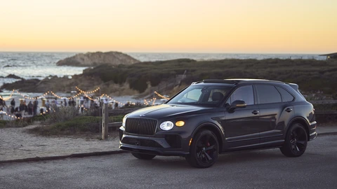 Bentley reforestará bosques de algas en EE.UU.