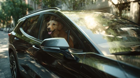 OnStar Pets, el nuevo servicio de Chevrolet orientado a atender las emergencias de tu mascota