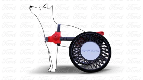 Ford P-Raptor, el vehículo personalizado para mascotas con discapacidad
