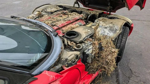 Dodge Viper vivió en las alturas por ¡30 años!