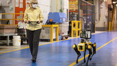 Perros-robot colaboran en las plantas de Ford