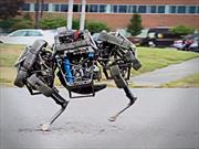 Widcat, un robot cuadrúpedo que puede ganarle a Usain Bolt