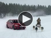 Video: SEAT León Cupra vs. trineo de perros