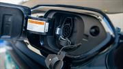 Canoo hará plataformas eléctricas para los futuros Kia y Hyundai