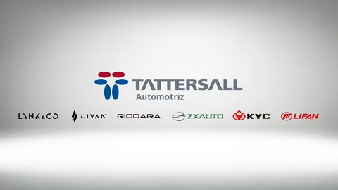 Tattersall lanzará tres nuevas marcas este año en Chile