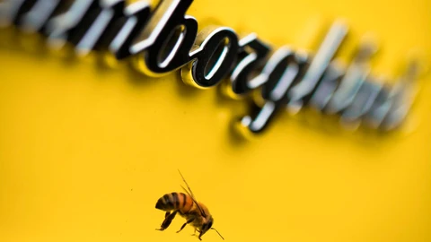 Lamborghini protege abejas para medir contaminación y reforzar sostenibilidad