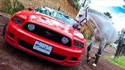 Ford Mustang GT Convertible 2013 a prueba