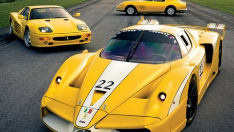 Coleccionista de Ferrari subastará en 2026 sus adquisiciones más codiciadas