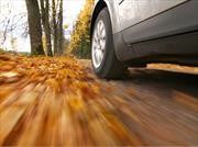 Conducir sobre un asfalto cubierto de hojas secas, podría ser peligroso