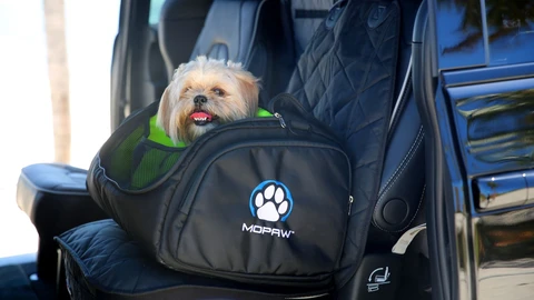 Mopaw: Así se llama la línea de accesorios Mopar para los cuatro patitas todoterreno