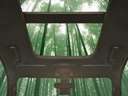 Ford quiere emplear bambú en sus carros