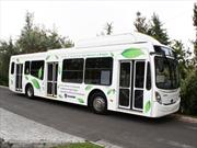 Llegó a Chile primer bus a gas natural o biogás para el transporte urbano