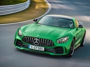 Video: Así entra el Mercedes-AMG GT R al Top 10 de Nürburgring