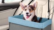 Importancia de que las mascotas viajen seguras en el automóvil