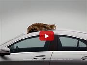 Video: Mercedes Benz CLA comprueba su aerodinámica con un gato